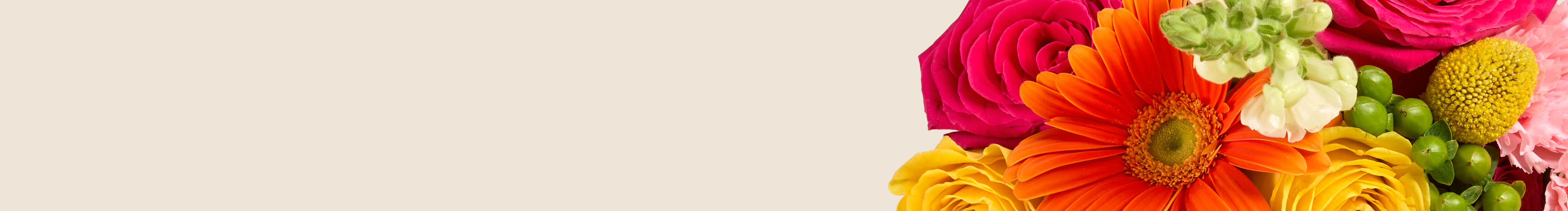 category-banner-img