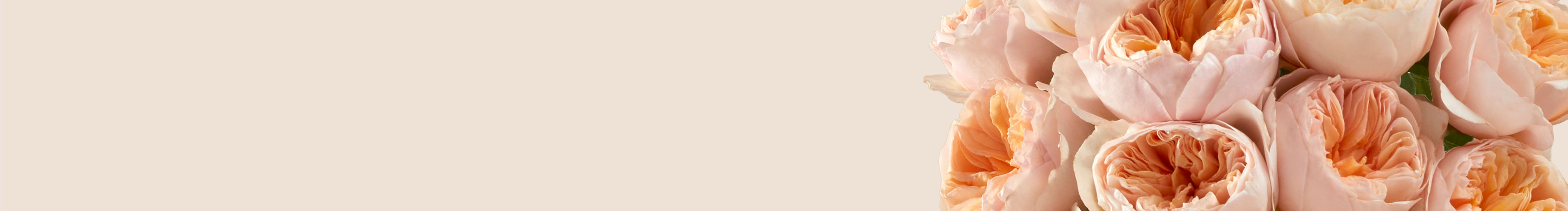 category-banner-img