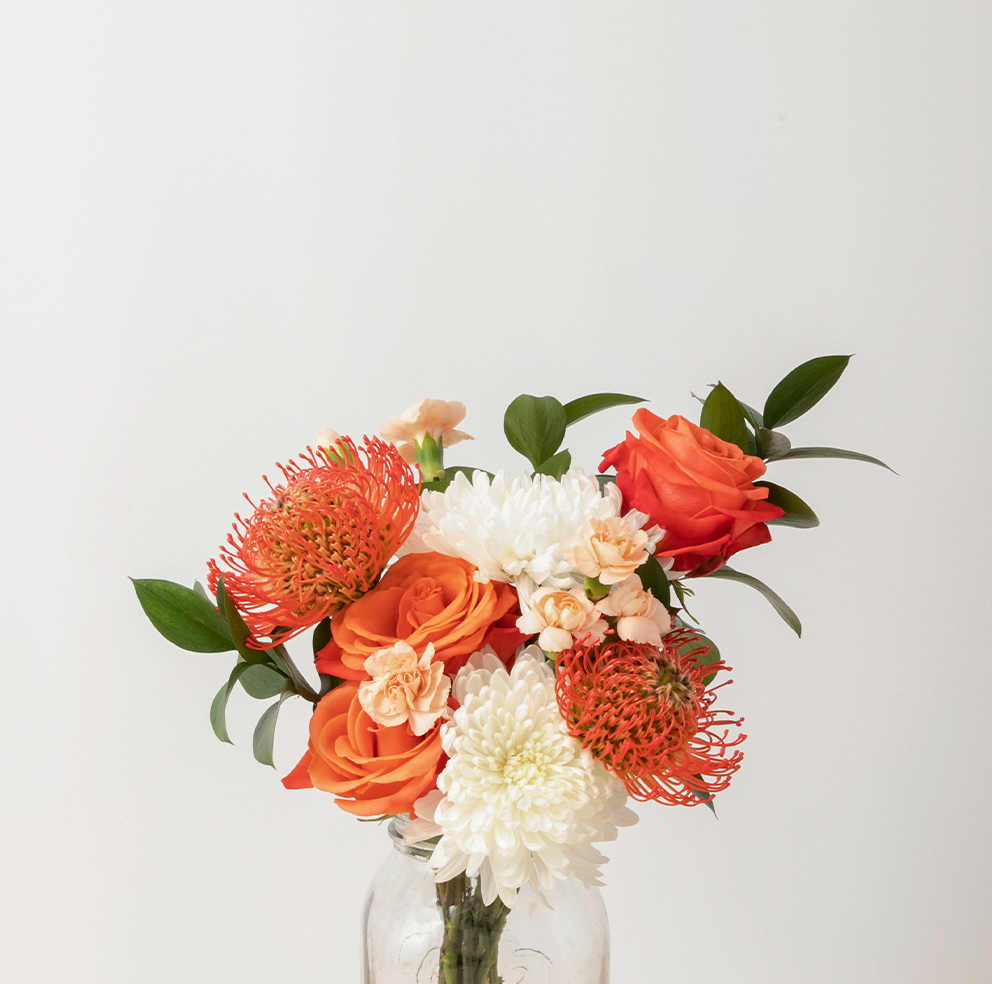 Original Size Card - Subs LP