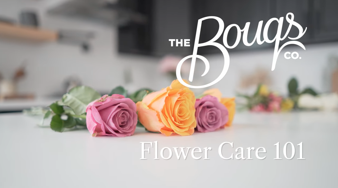 Flower Care 101 Video