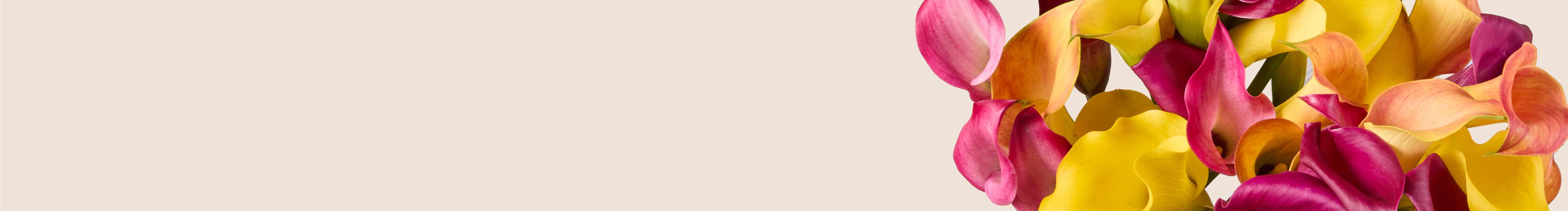 category-banner-img
