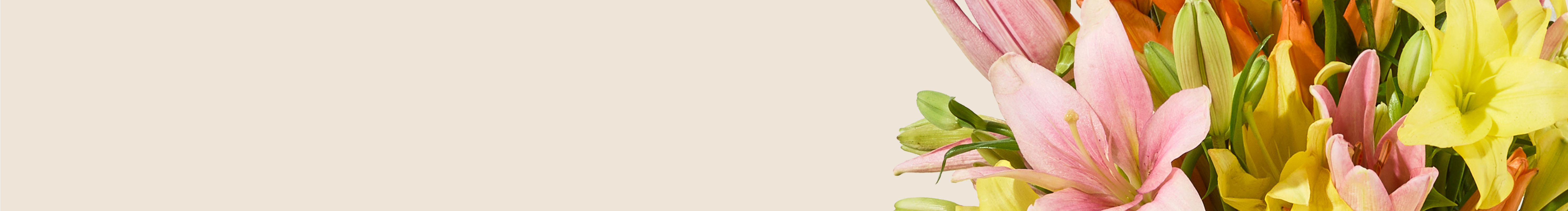 category-banner-img
