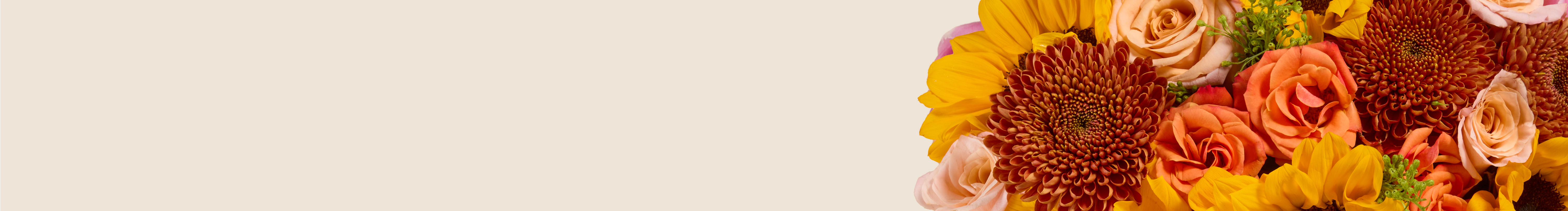category-banner-img