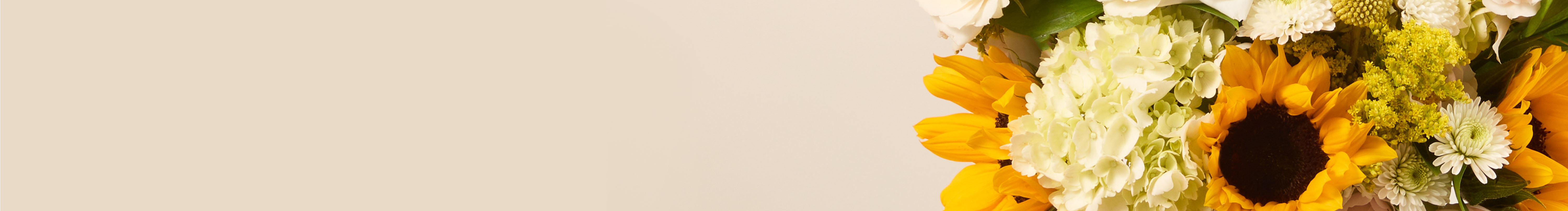 category-banner-img
