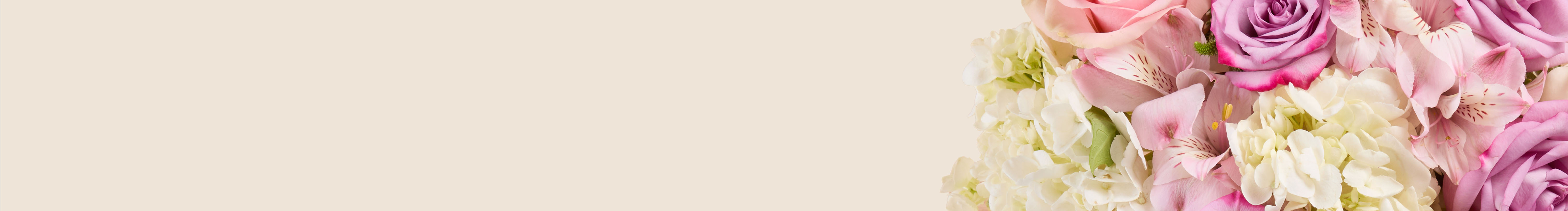 category-banner-img