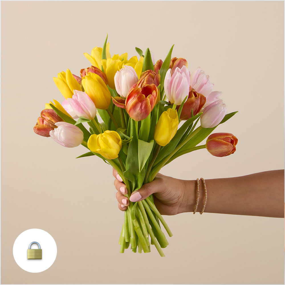 Bouquet of pink, yellow and orange tulips