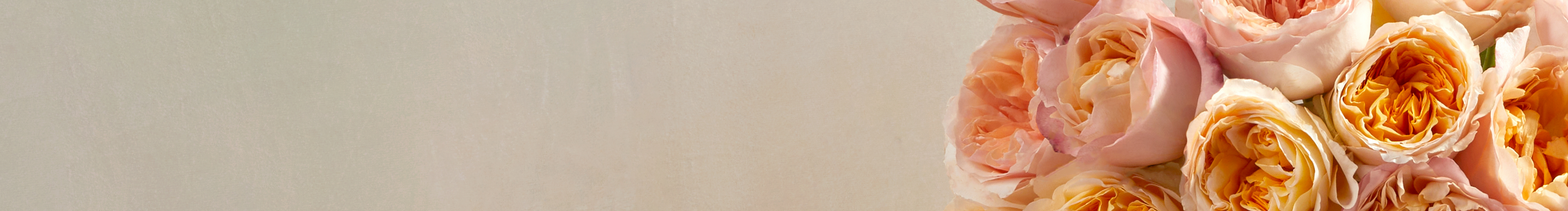 category-banner-img
