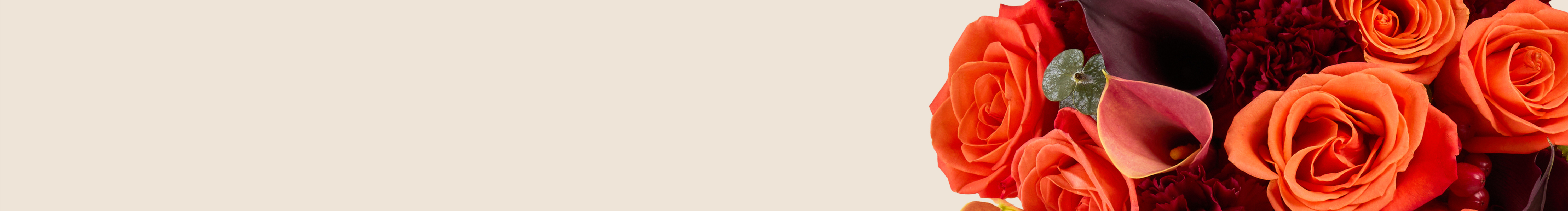 category-banner-img