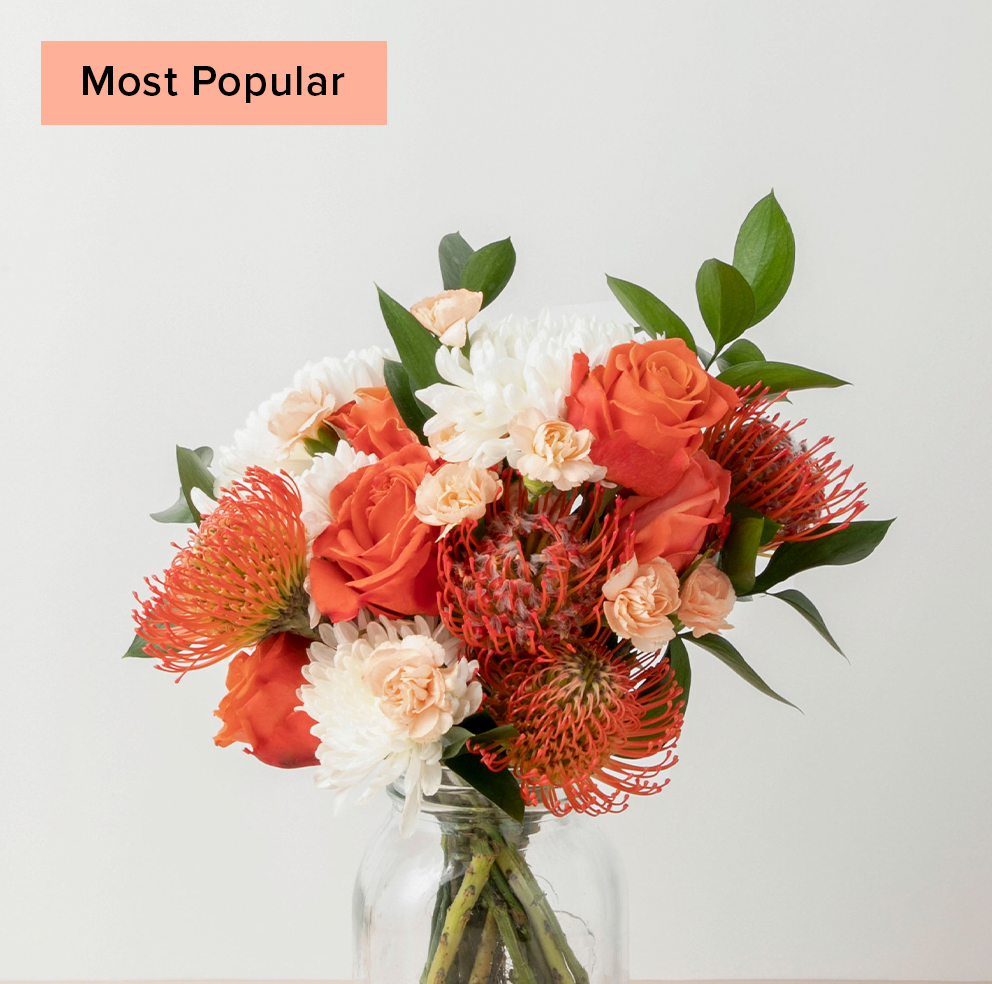 Deluxe Most Popular Subs LP