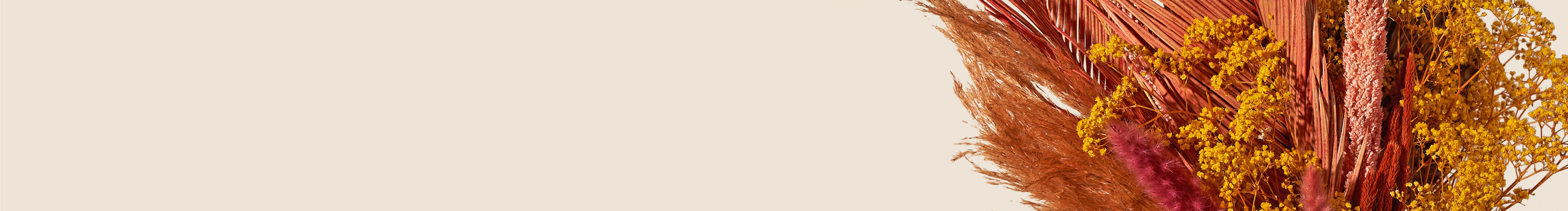 category-banner-img