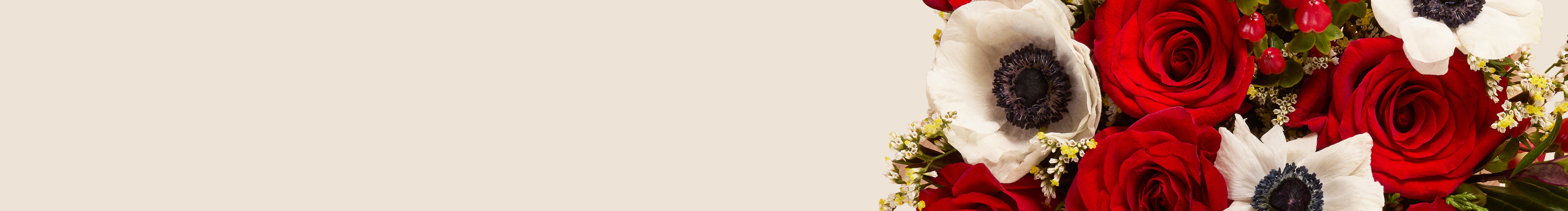 category-banner-img