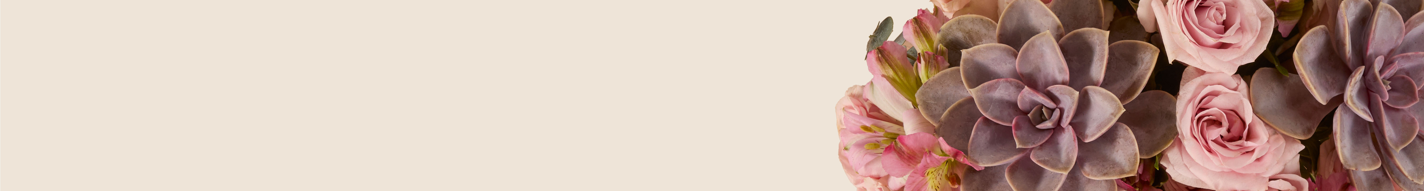 category-banner-img