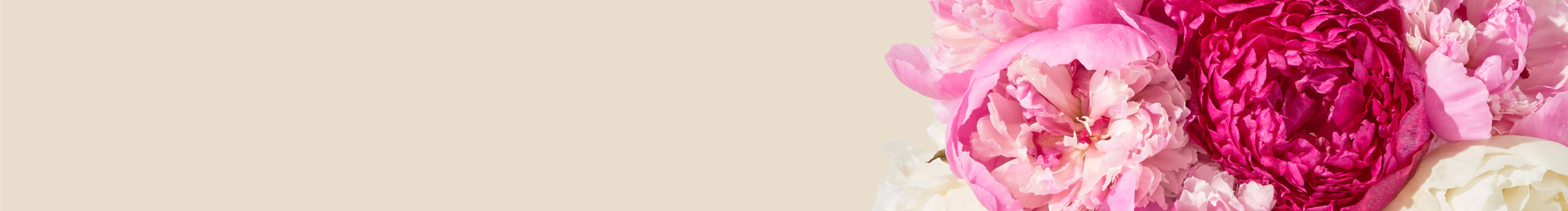 category-banner-img