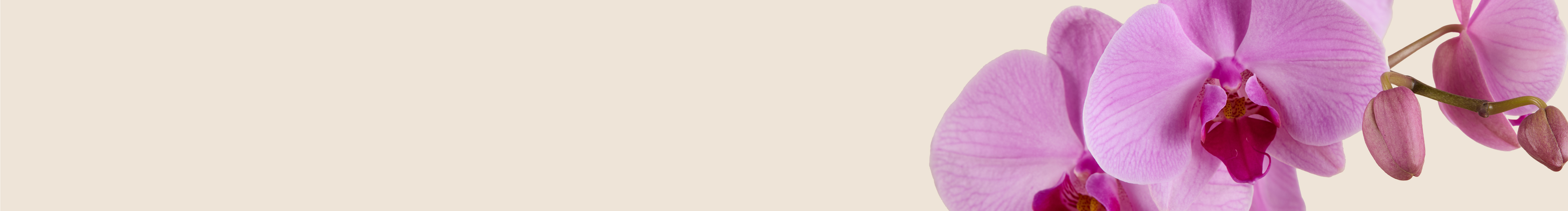 category-banner-img