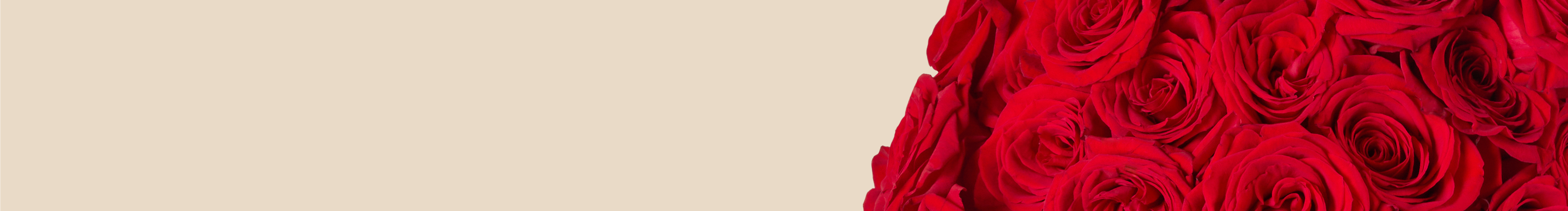category-banner-img