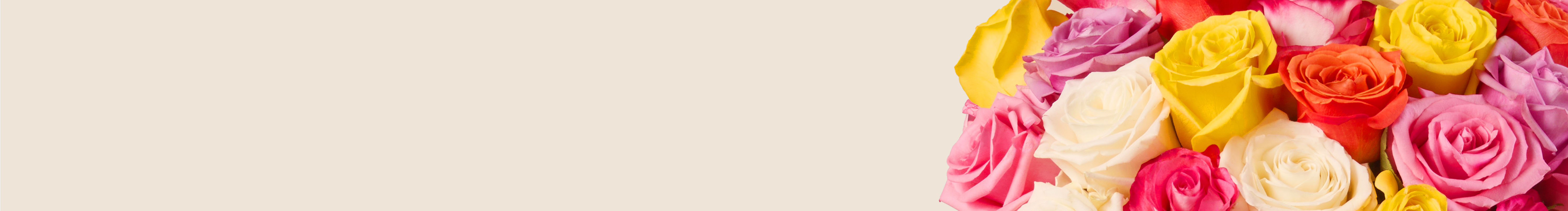 category-banner-img