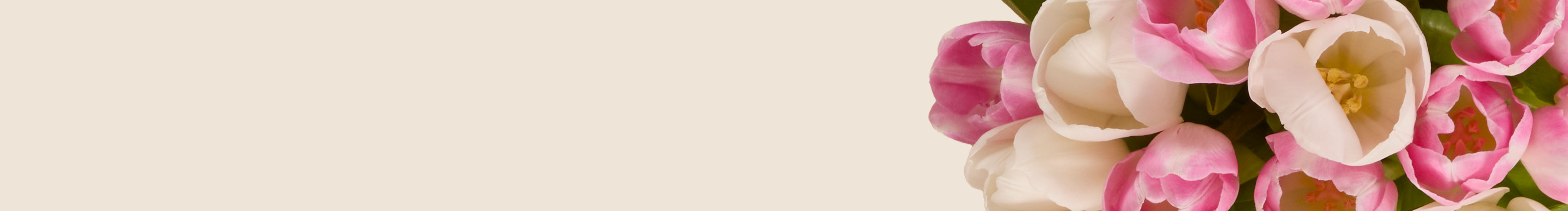 category-banner-img
