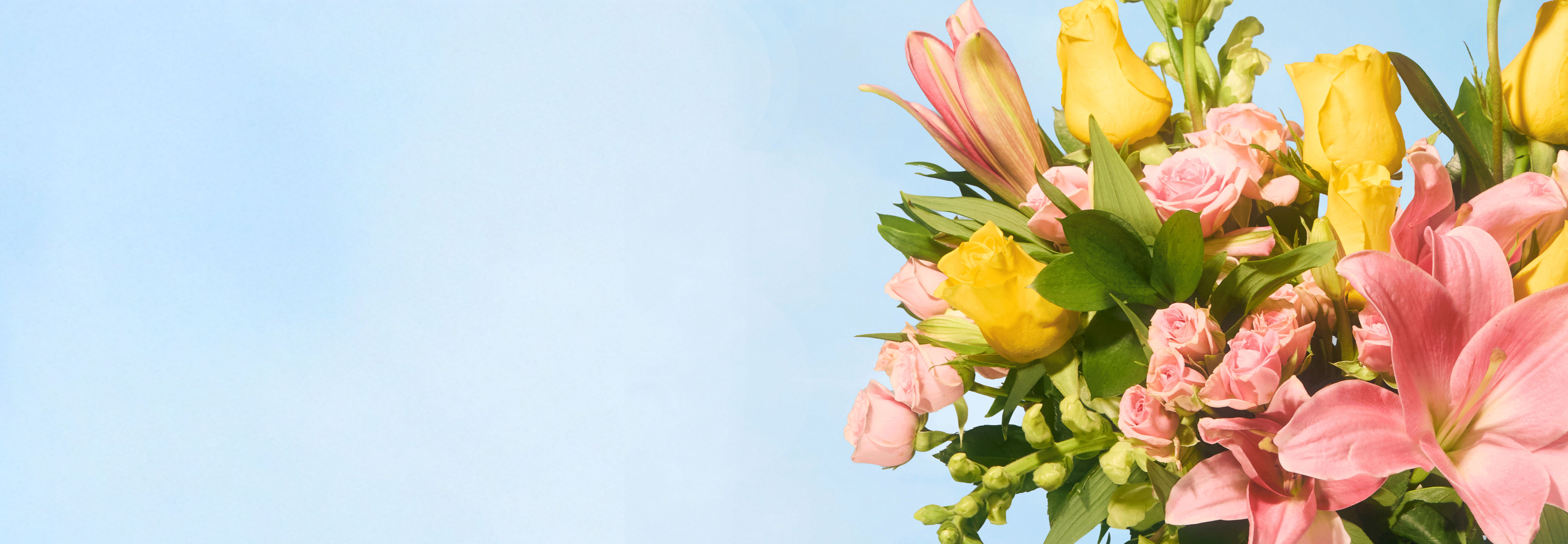category-banner-img
