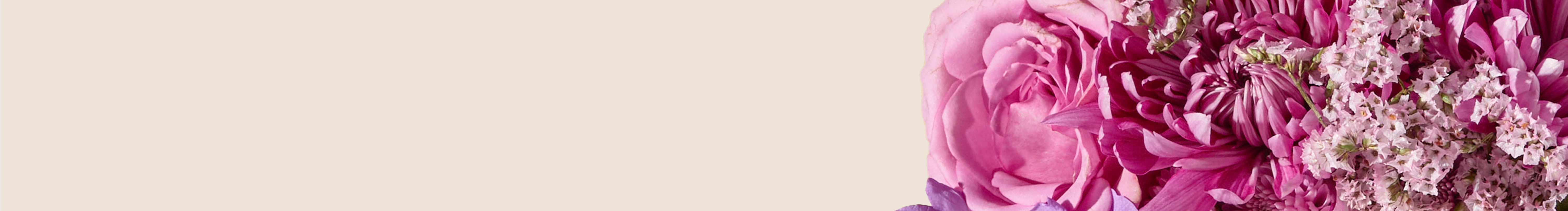 category-banner-img