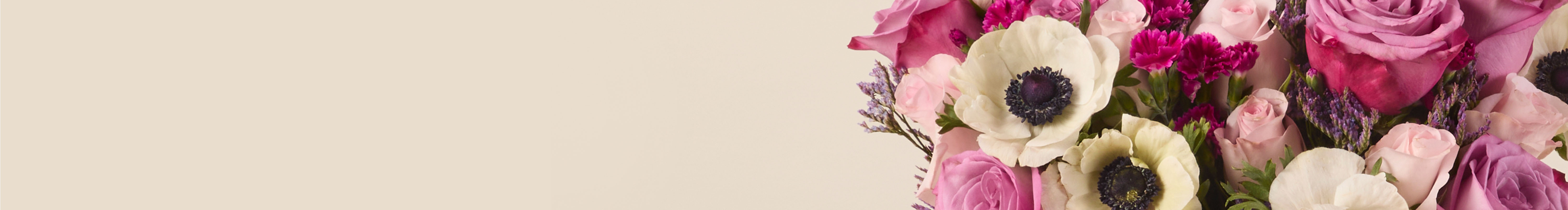 category-banner-img