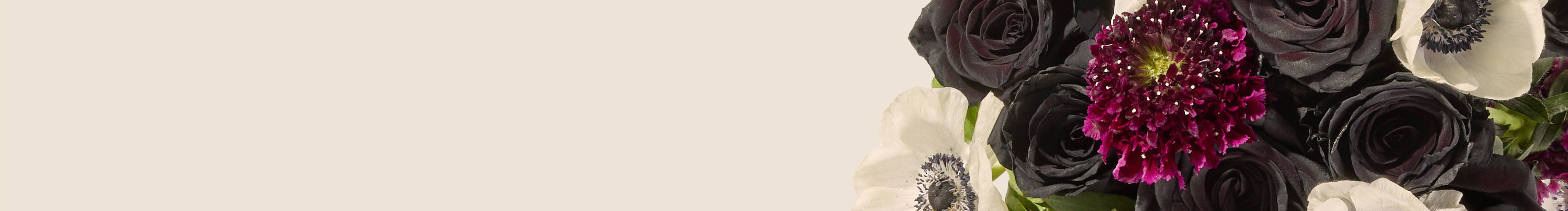 category-banner-img