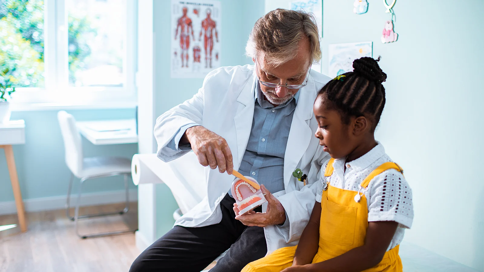 A dentist showing how to brush your teeth to a young girl using a fake set of teeth