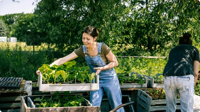 We're committed to evolving and optimizing our use of resources - Woman in overalls carrying a tray of plants