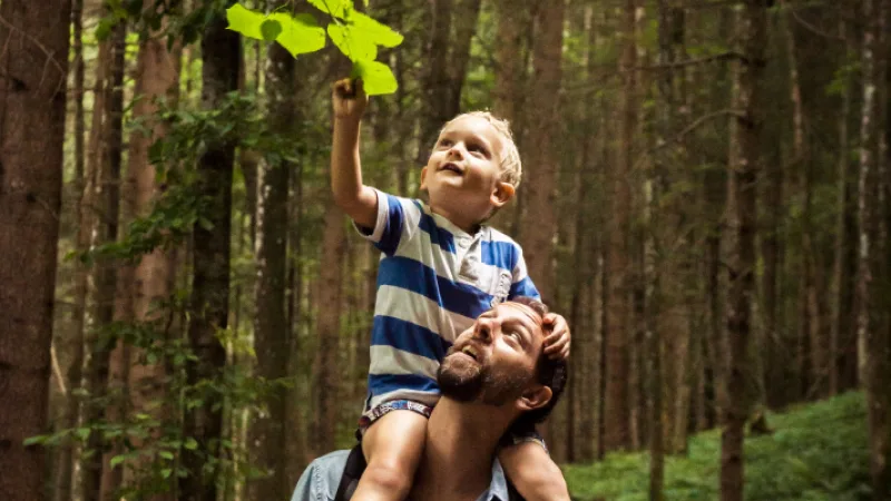 Financial highlights - Child sitting on top of father's shoulders looking up at the trees in the forest