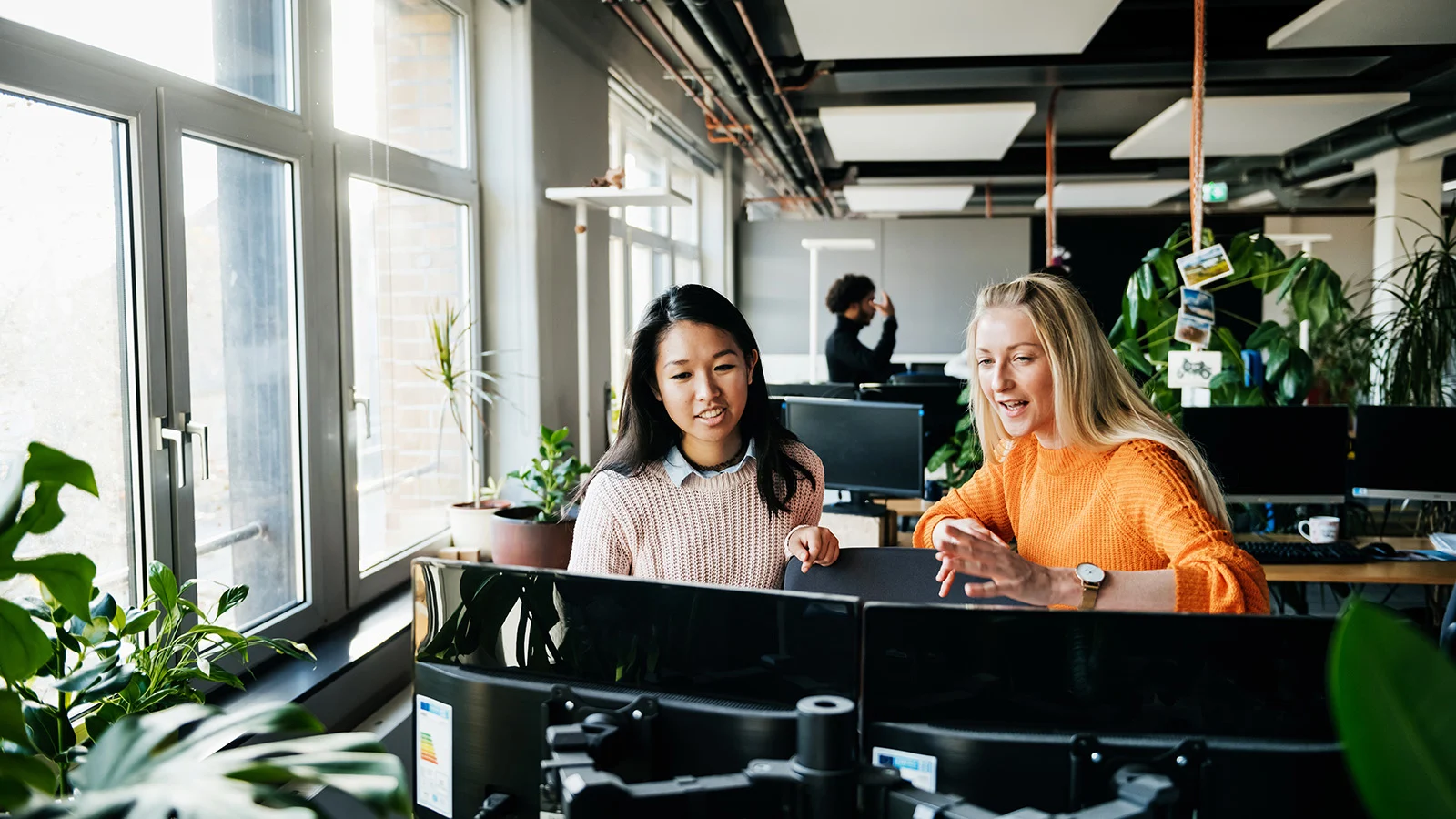 Two employees collaborating at dual computer monitors in a modern office with large windows and indoor plants.