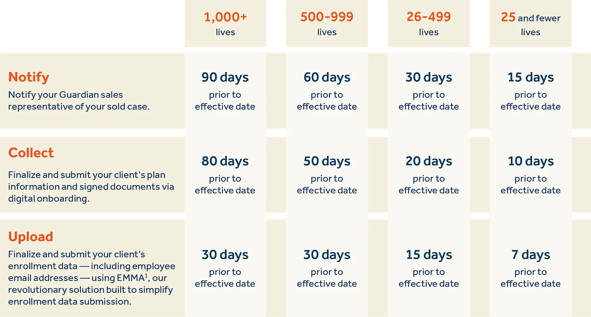 implementation timeline 