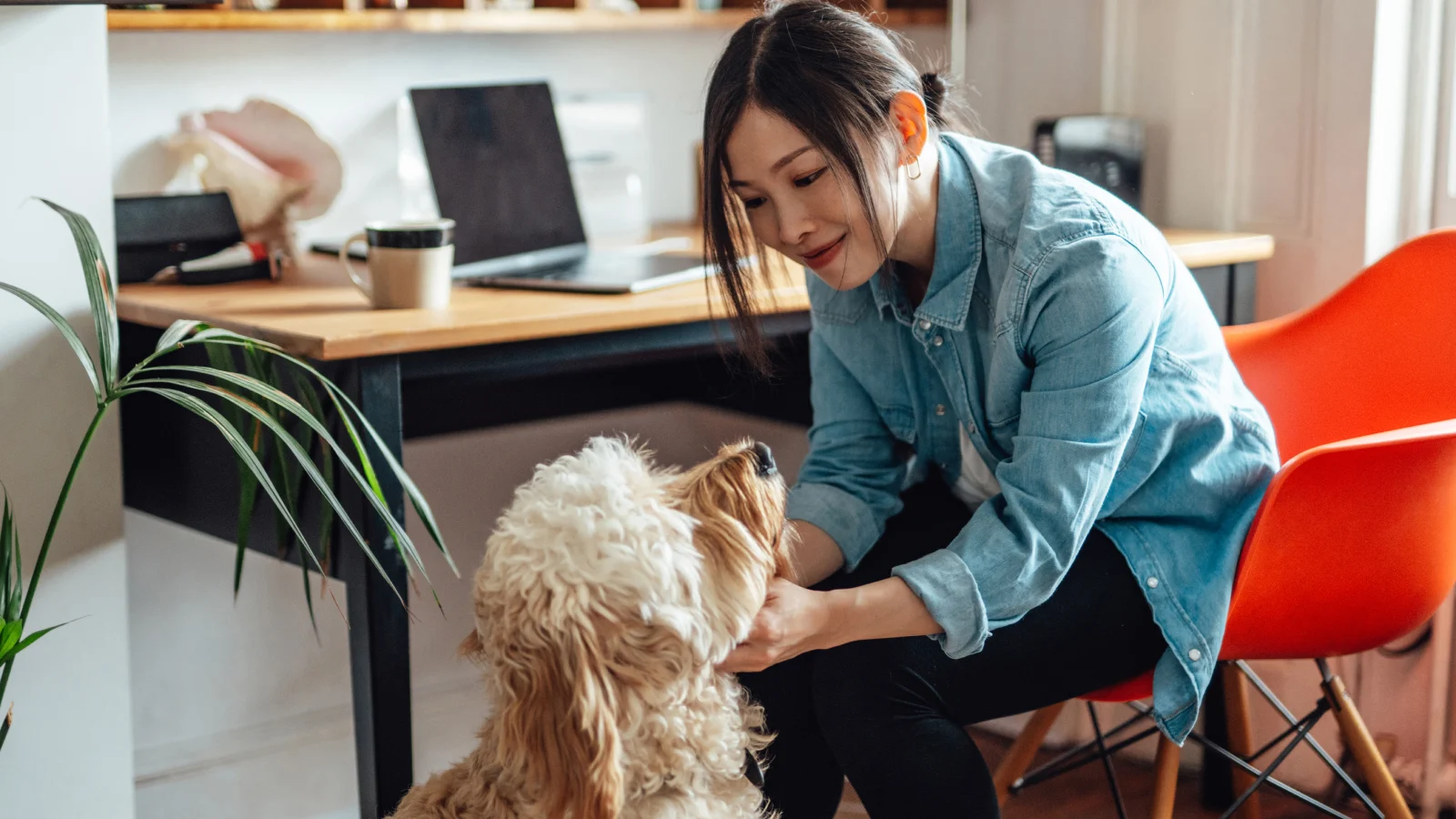 Woman playing with her dog