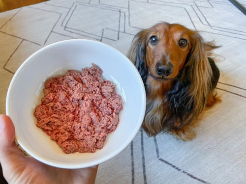 Feeding raw ground shop beef to dogs