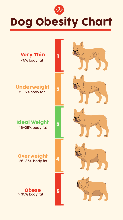 Dog Obesity Chart