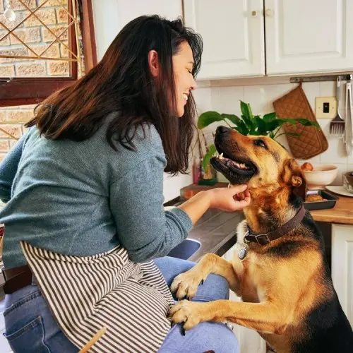 Can You Make Your Own Dog Food?