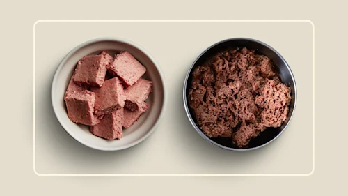 WFR we feed raw vs darwin-s 1