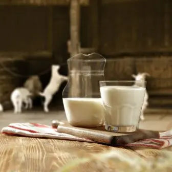 Goat's Milk