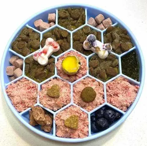 Mixing kibble and raw dog food