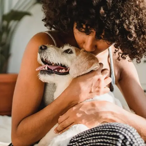 The Wildest Humans Dogs The Longest Love Story pexels-samson-katt-5256106