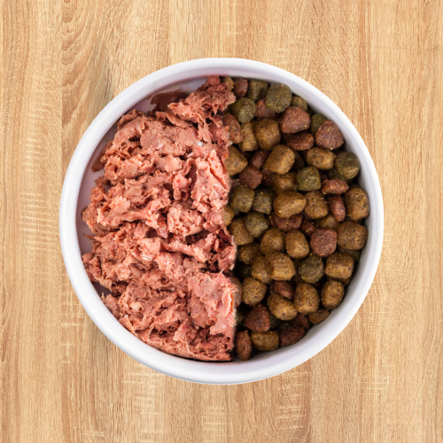 Best Raw Diet For Dogs: 7 FAQs to Help