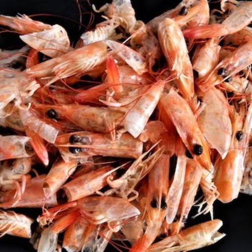 leftover-boiled-shrimp-detail-heads-eyes-peeled-skin-making-broth-shrimp 598856-203 (1)