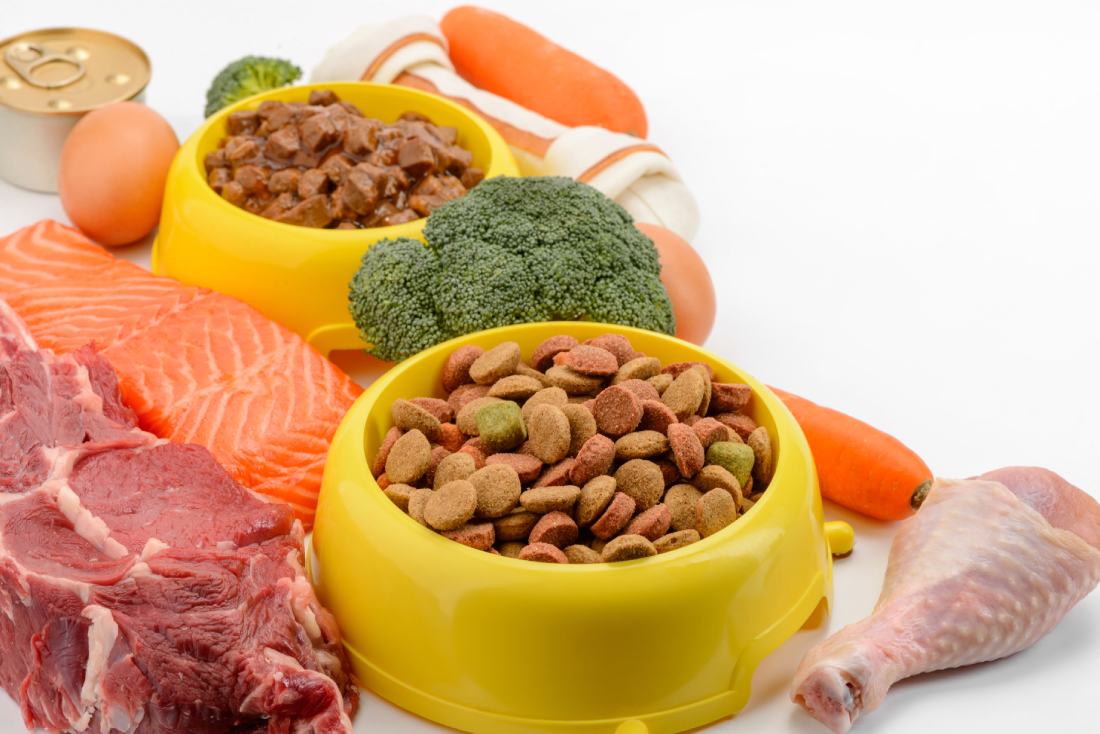 Kibble in dog bowl surrounded by raw foods