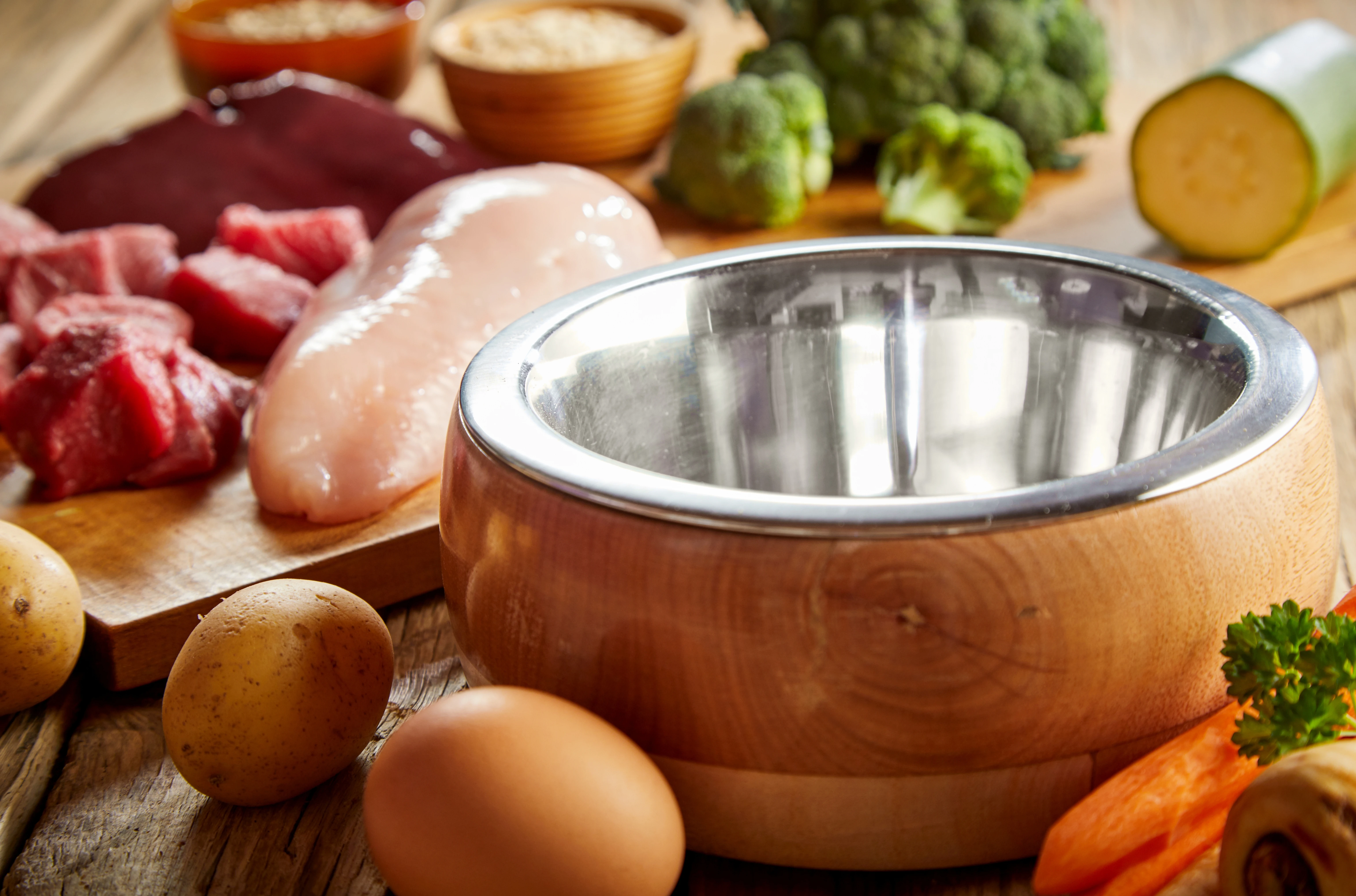Empty Dog Bowl 