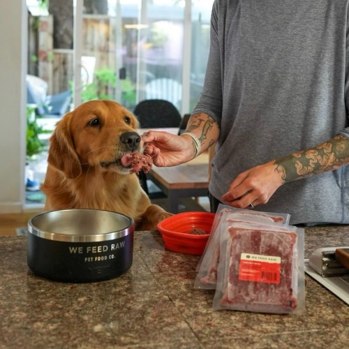 Human feeding dog with We Feed raw dog food