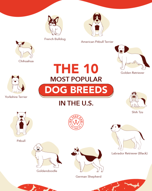 Infographic2x