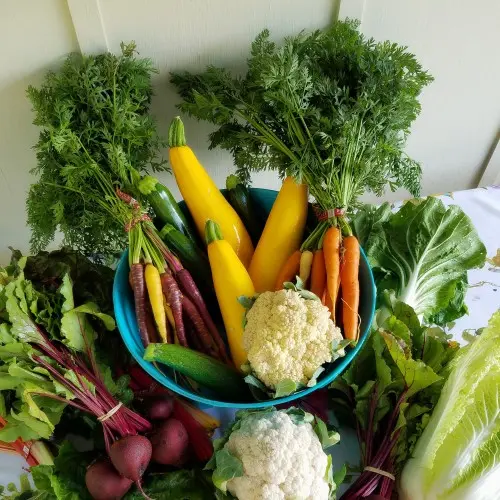 Fresh Vegetables