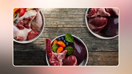 raw dog food recipes v1