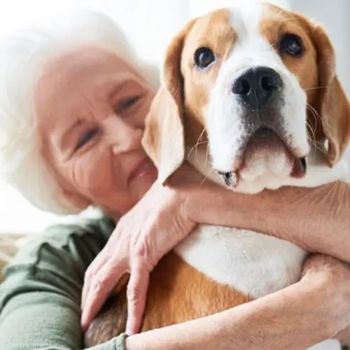 good-dogs-for-seniors-@1X