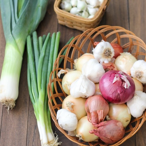 Onions-and-Garlic-1