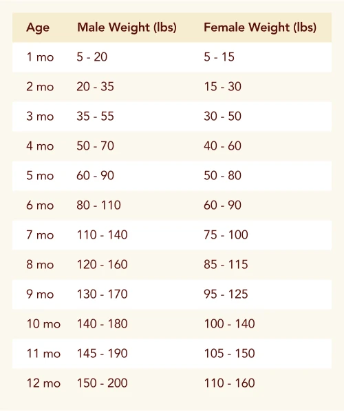 WFR-Infographic 500x595