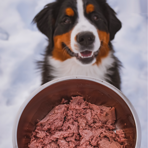 How Often Should Dogs Eat Raw Meat We Feed Raw